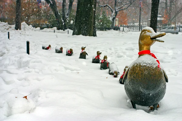 Stock bild av en snöande vinter vid Boston, massachusetts, usa — Stockfoto