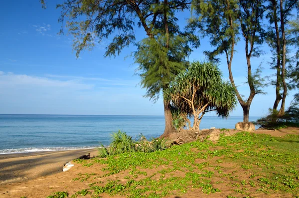 Bella spiaggia con cielo blu a Mai Khao spiaggia, Phuket, Thailandia — Foto Stock