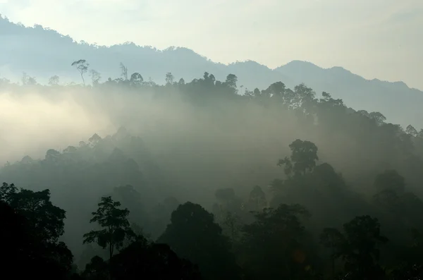 Imagen de stock de paisaje brumoso — Foto de Stock