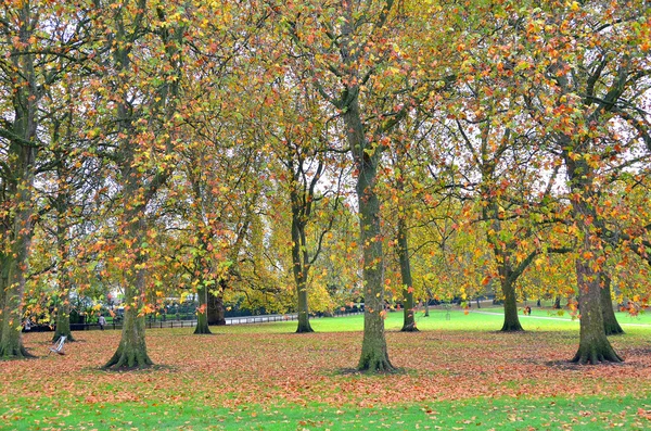 春の間にロンドンの聖 Jamess 公園の美しい景色 — ストック写真