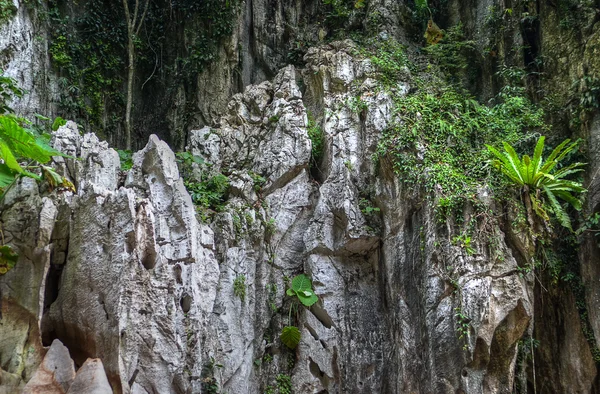 Qing Xin Ling wypoczynek idealna kulturalne wsi, Ipoh, Malezja — Zdjęcie stockowe