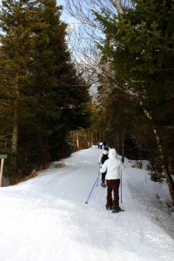 Bretton Woods, New Hampshire