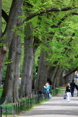 Boston Common ve kamu Bahçe, ABD