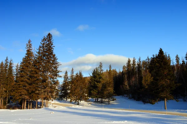 Bretton Woods, New Hampshire — Stock fotografie