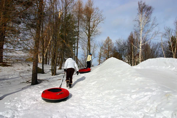 Bretton Woods, New Hampshire. — Fotografia de Stock