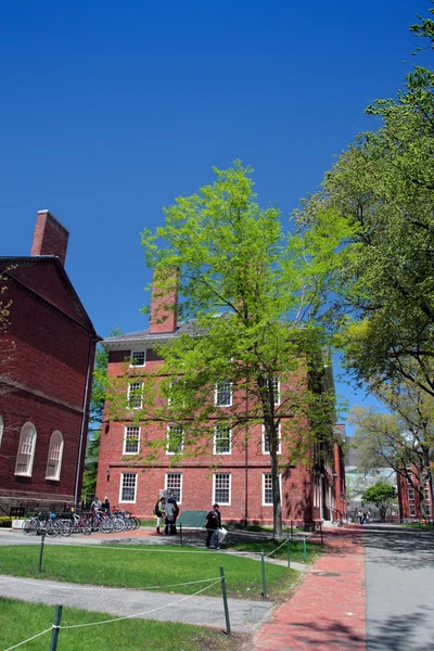 Harvard Square, Cambridge — Foto Stock