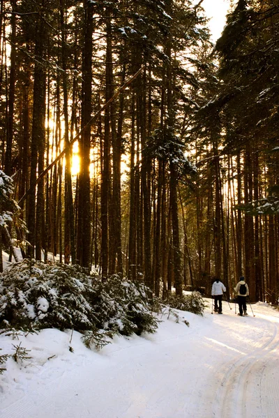 Bretton Woods, New Hampshire — Stockfoto