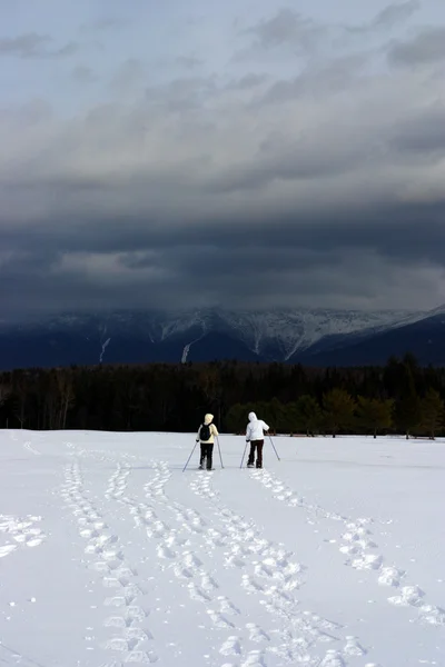 Bretton Woods, New Hampshire — Stockfoto