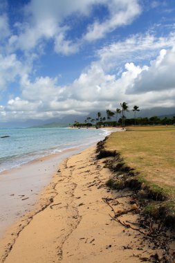 O'ahu, Hawaii stok görüntü