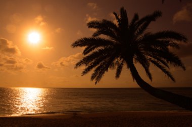 O'ahu, Hawaii stok görüntü