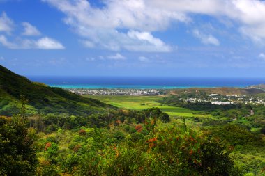 O'ahu, Hawaii stok görüntü