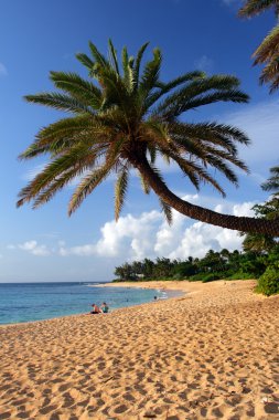 O'ahu, Hawaii stok görüntü