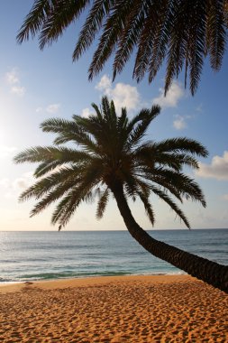 O'ahu, Hawaii stok görüntü