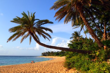 O'ahu, Hawaii stok görüntü