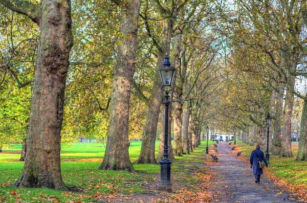 A beautiful view of St. Jamess Park in London during Spring — Stock Photo, Image