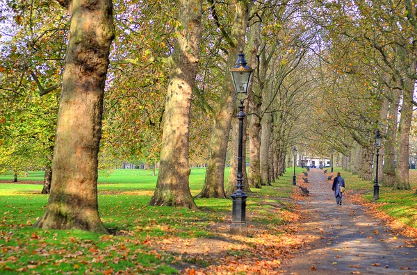 Uma bela vista do St. Jamess Park em Londres durante a primavera — Fotografia de Stock