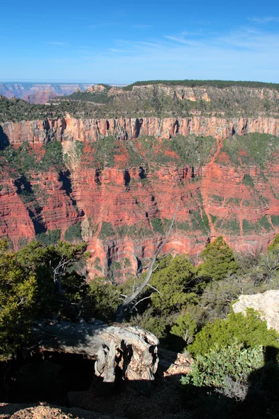 Grand Canyon National Park, EUA — Fotografia de Stock