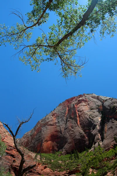 Parque Nacional de Zion, EE.UU. — Foto de Stock