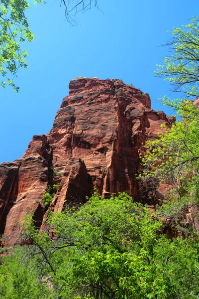 Parc national de Zion, États-Unis — Photo