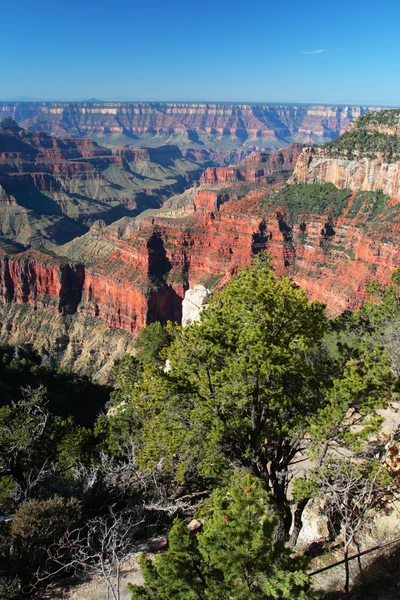 Grand canyon nationalpark, usa — Stockfoto