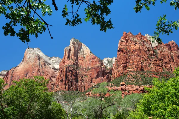 Zion nationalpark, usa — Stockfoto