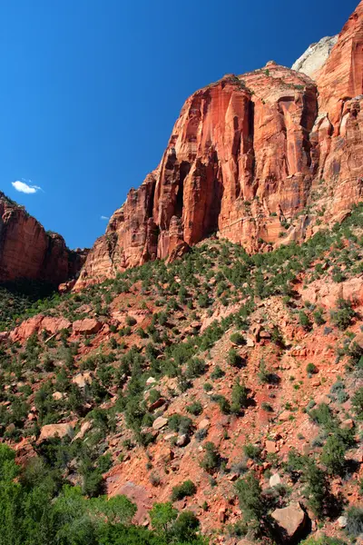 Národní park Zion, usa — Stock fotografie