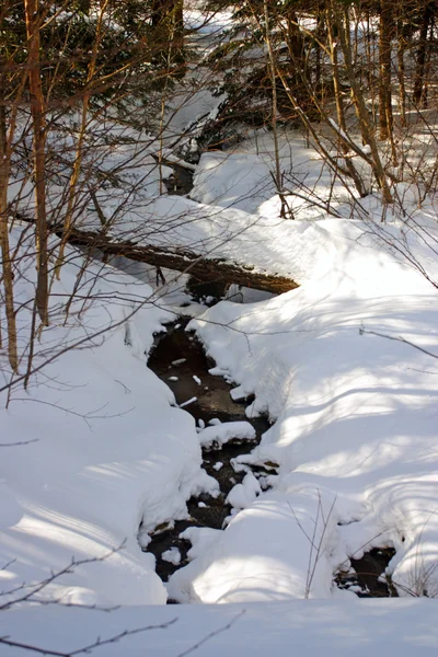 Bassängen, New Hampshire — Stockfoto