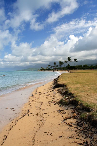 Изображение со склада O 'ahu, Гавайи — стоковое фото