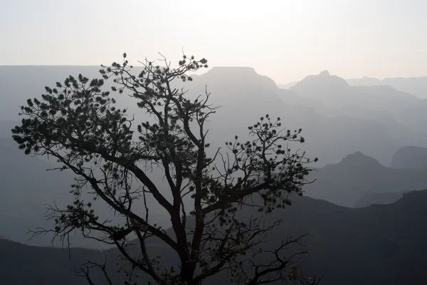 Grand Canyon National Park, EUA — Fotografia de Stock