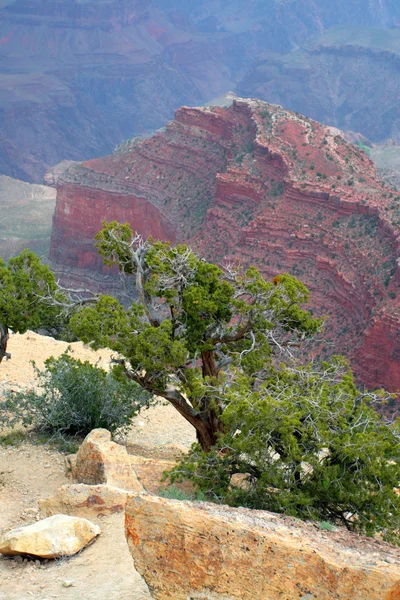 Grand Canyon Nationalpark, USA — Stockfoto