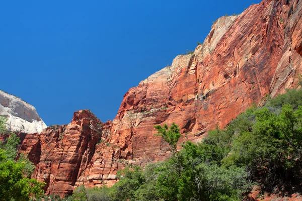 Parque Nacional de Zion, EE.UU. —  Fotos de Stock