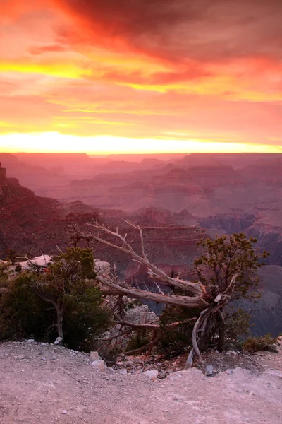 Εθνικό Πάρκο Grand Canyon, ΗΠΑ — Φωτογραφία Αρχείου