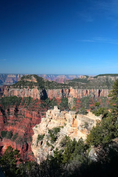 Parc national du Grand Canyon, États-Unis — Photo