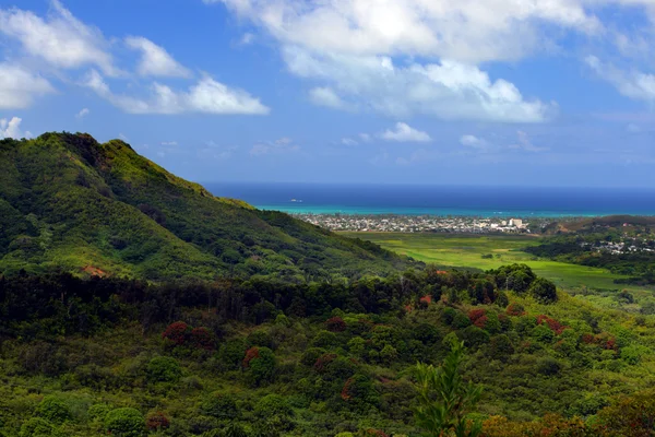 Parque Estatal Nuuanu Pali, O 'ahu, Hawai — Foto de Stock