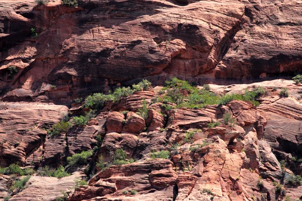 Národní park Zion, usa — Stock fotografie