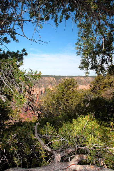 Parque Nacional del Gran Cañón, Estados Unidos — Foto de Stock