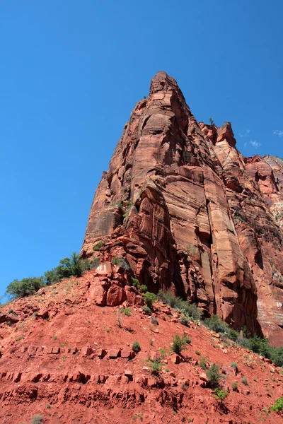 Zion Nationaalpark, Verenigde Staten — Stockfoto