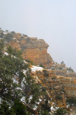 Grand Canyon Ulusal Parkı, ABD