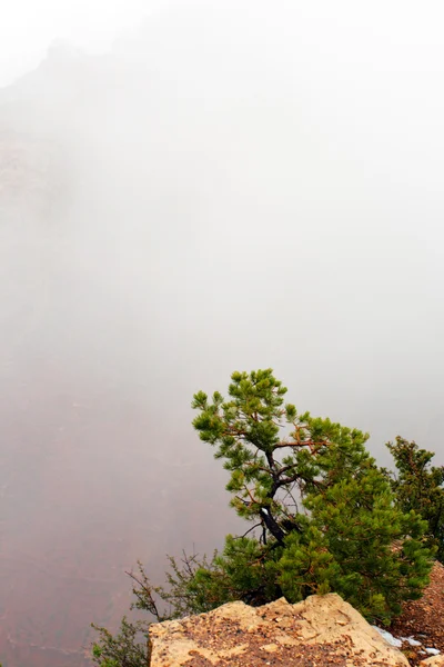 Parque Nacional del Gran Cañón, Estados Unidos — Foto de Stock