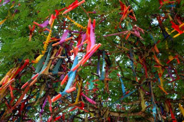 WAT Mai Suvankhiri (Dragon Tekne Tapınağı), Kelantan, Malezya