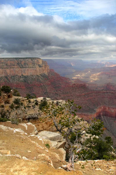 Grand Canyon Ulusal Parkı, ABD — Stok fotoğraf