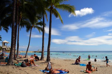 Beach Waikiki, Honolulu, Oahu, Hawaii