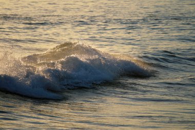 Beach Waikiki, Honolulu, Oahu, Hawaii