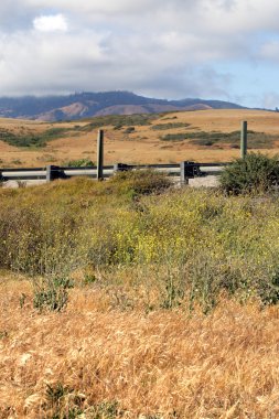 Kaliforniya'nın Central Coast, Big Sur, ABD