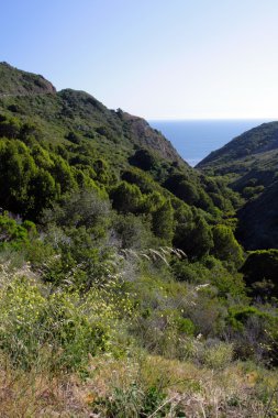 Kaliforniya'nın Central Coast, Big Sur, ABD