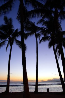 Beach Waikiki, Honolulu, Oahu, Hawaii