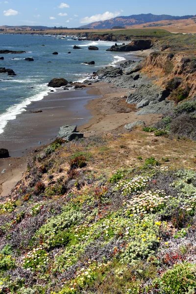 California's Central Coast, Big Sur, USA — Stock Photo, Image