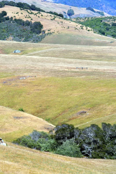 Kaliforniens Zentralküste, Big Sur, USA — Stockfoto