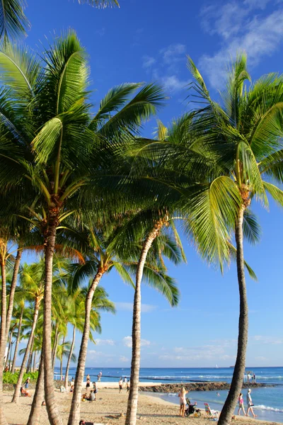 Spiaggia di Waikiki, Honolulu, Oahu, Hawaii — Foto Stock