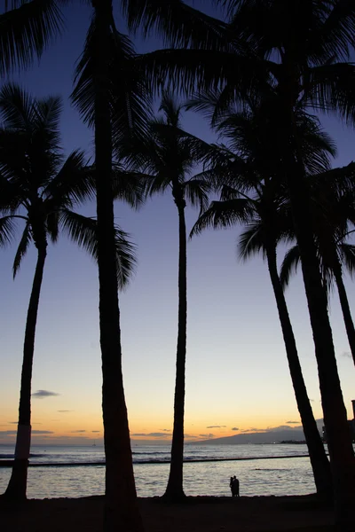 Waikiki Beach, Honolulu, Oahu, Hawaii — Stock Photo, Image